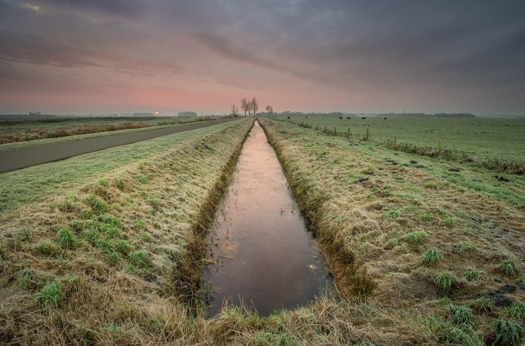 ditch, trench, drain, sunrise, morning, grass, vegetation, nature, landscape, trench, trench, trench, trench, trench, drain, drain