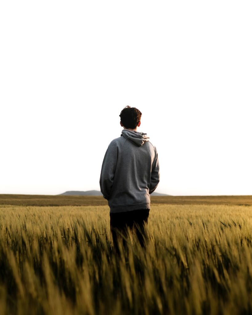 Back view of a man in a gray hoodie standing in a golden wheat field during daylight.